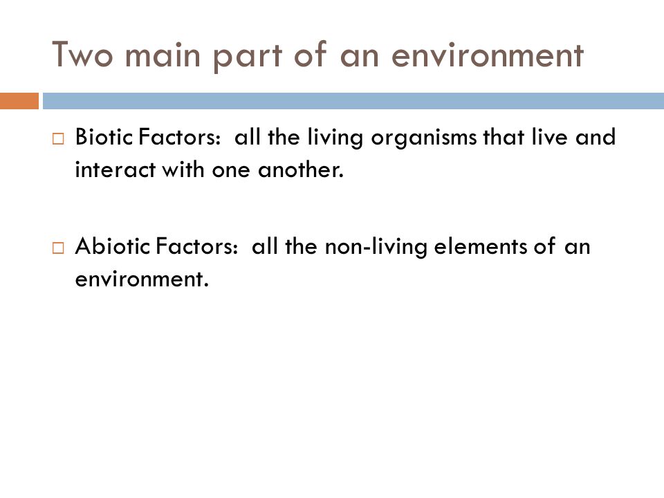 Two main part of an environment  Biotic Factors: all the living organisms that live and interact with one another.