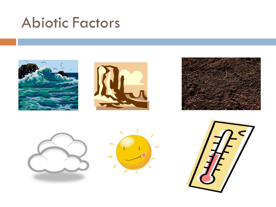 Abiotic Factors