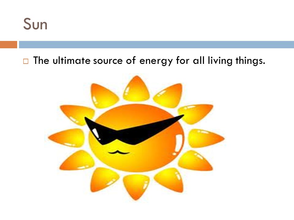 Sun  The ultimate source of energy for all living things.
