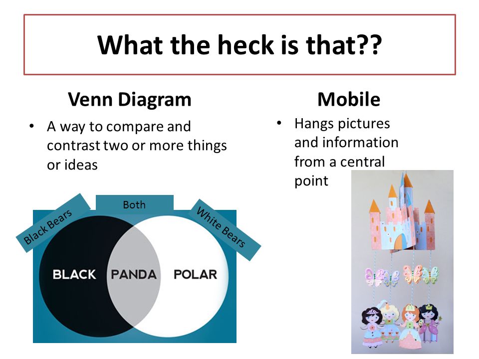 Venn Diagram A way to compare and contrast two or more things or ideas Mobile Hangs pictures and information from a central point What the heck is that .