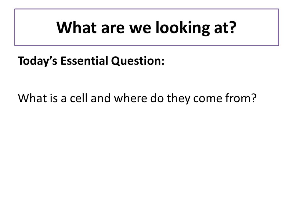What are we looking at Today’s Essential Question: What is a cell and where do they come from