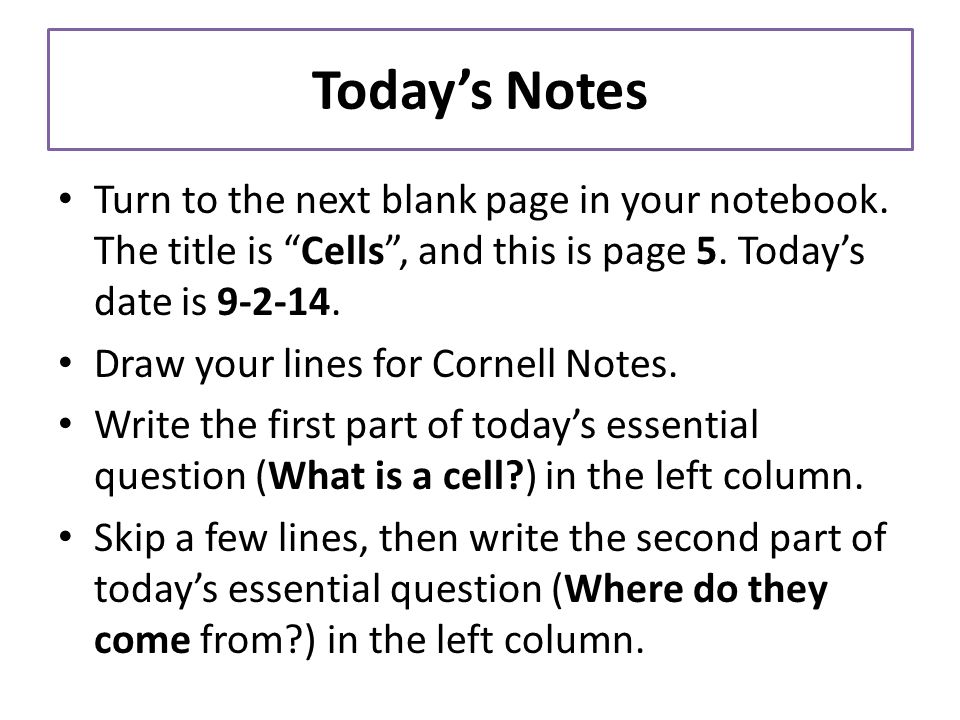 Today’s Notes Turn to the next blank page in your notebook.