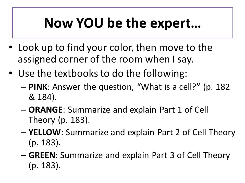 Now YOU be the expert… Look up to find your color, then move to the assigned corner of the room when I say.