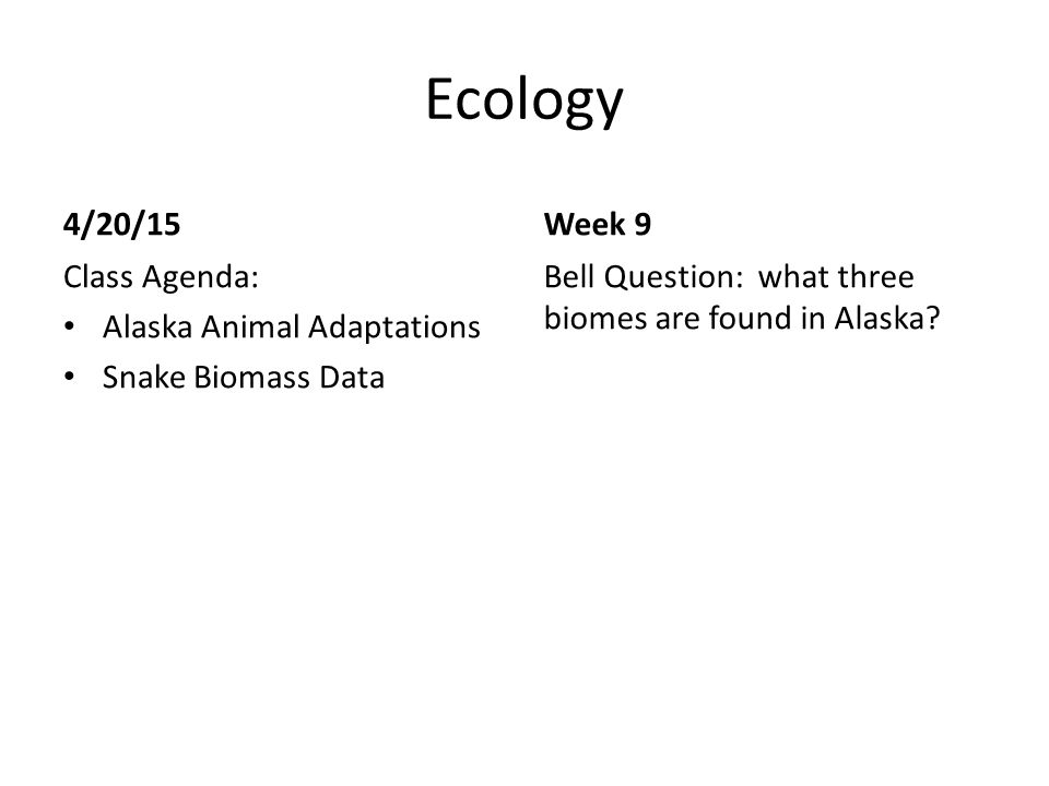 Ecology 4/20/15 Class Agenda: Alaska Animal Adaptations Snake Biomass Data Week 9 Bell Question: what three biomes are found in Alaska