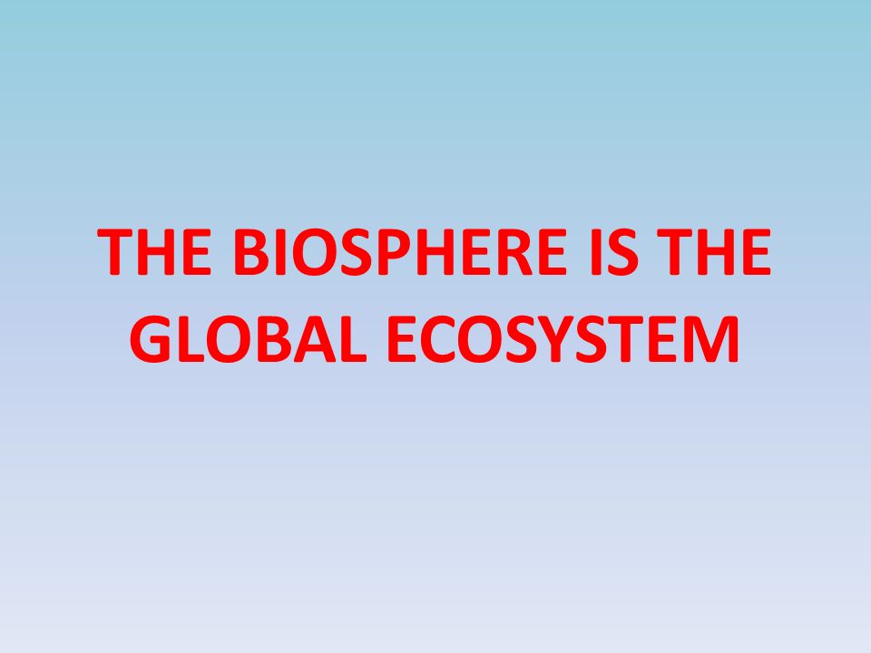 THE BIOSPHERE IS THE GLOBAL ECOSYSTEM