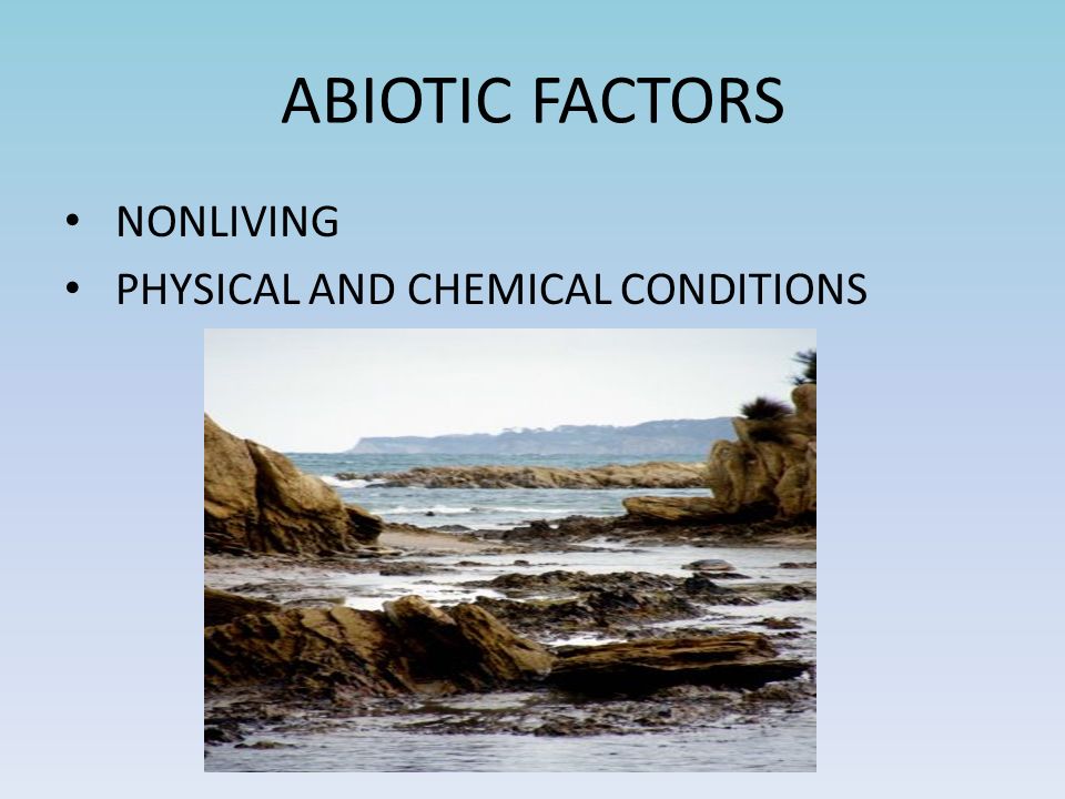 ABIOTIC FACTORS NONLIVING PHYSICAL AND CHEMICAL CONDITIONS