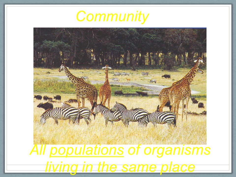 Population All the members of the same species that live in the same area