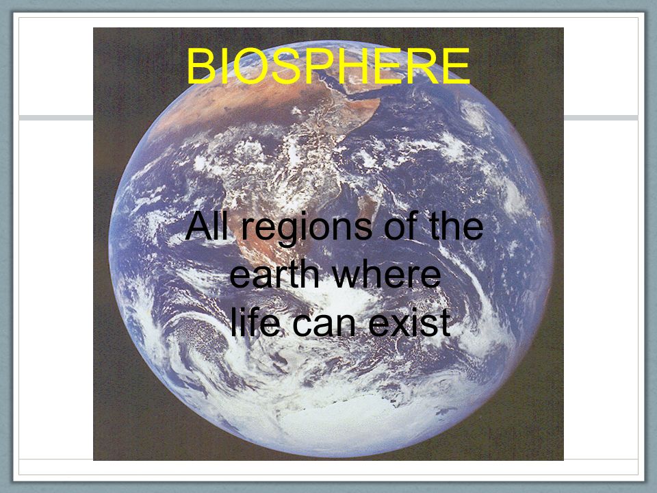 Ecosystem All biotic and abiotic factors in a particular environment