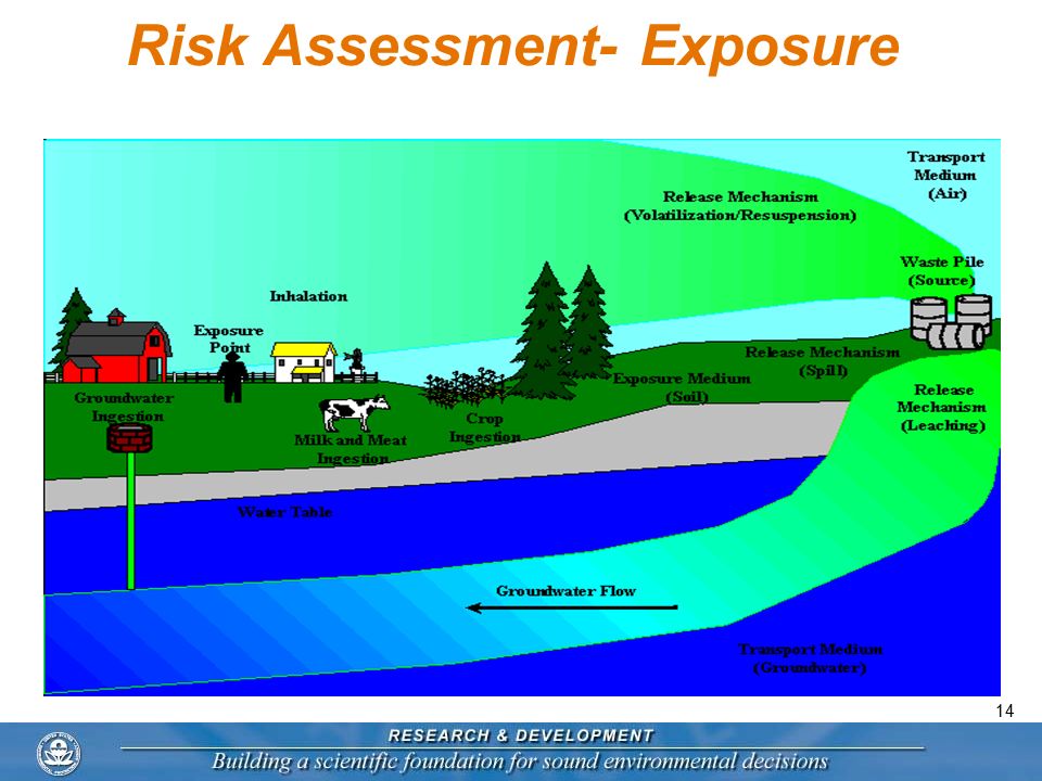 14 Risk Assessment- Exposure