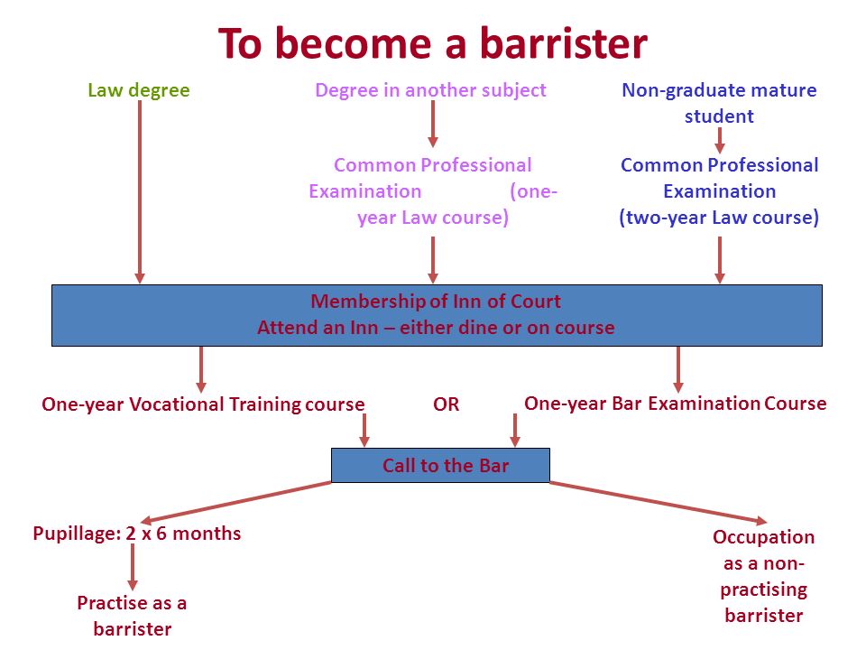 any diploma 6 months law course any country any diploma 6 months law course any country