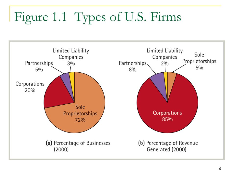 6 Figure 1.1 Types of U.S. Firms
