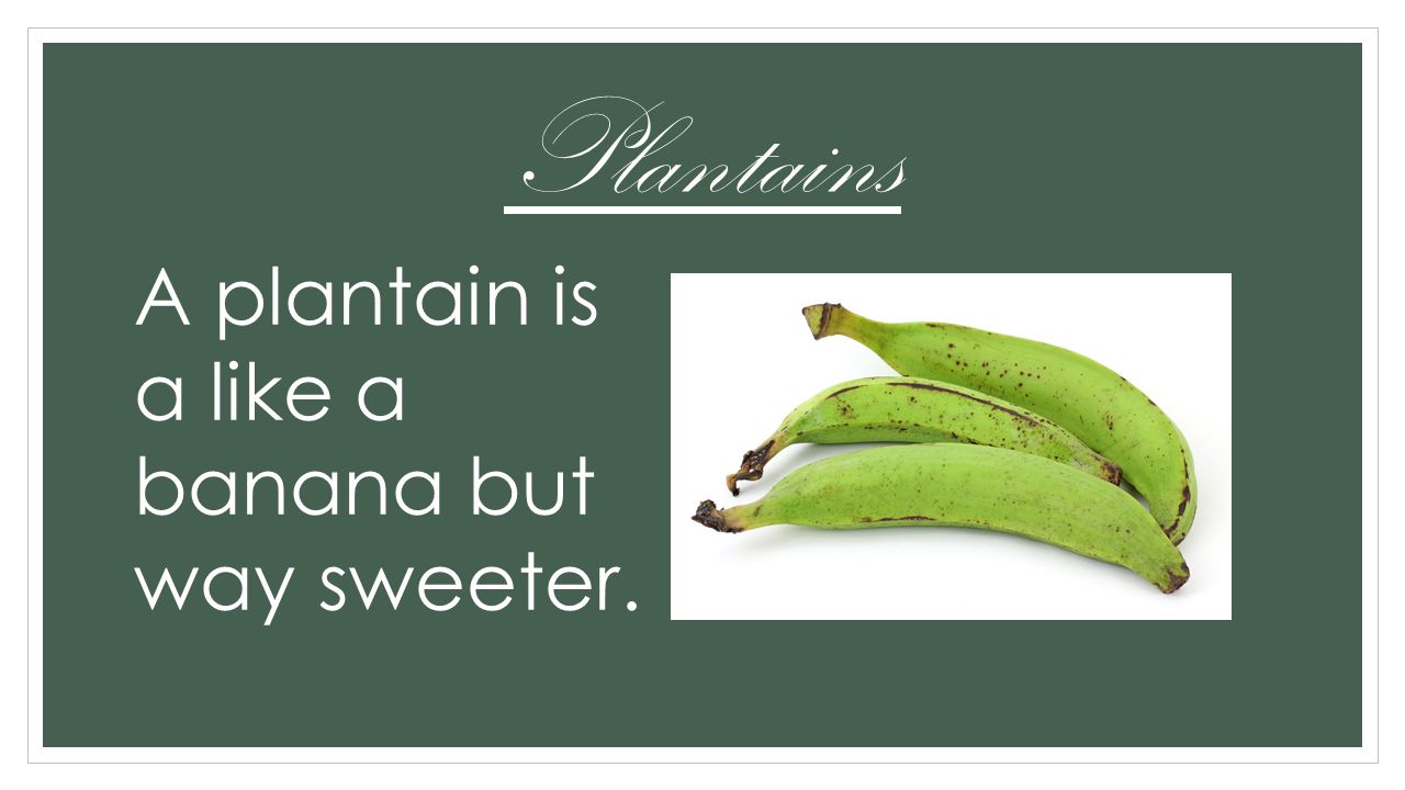 Plantains A plantain is a like a banana but way sweeter.