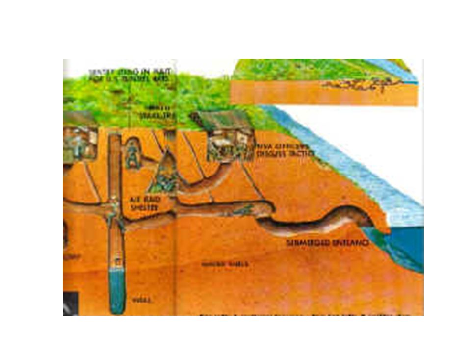vietcong tunnels diagram
