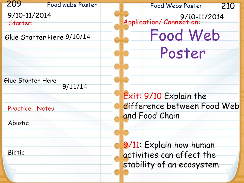 food web vs food chain venn diagram aprilonthemarchco food web and venn diagram food chain food web