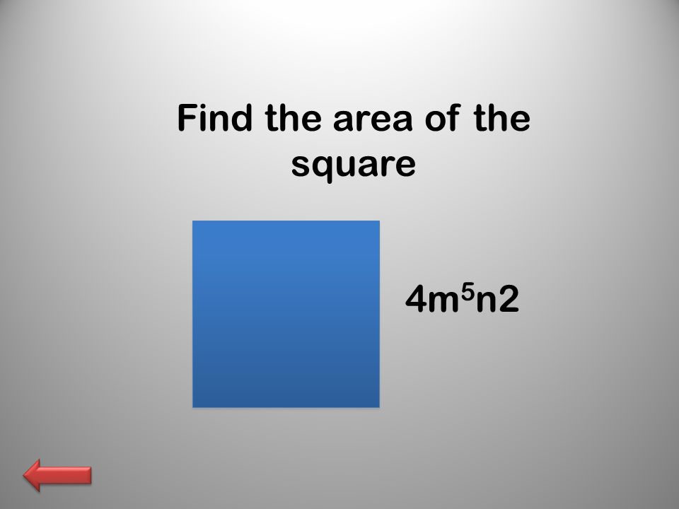 Find the area of the square 4m 5 n2