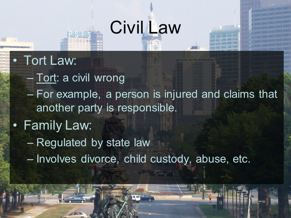 Civil Law Tort Law: –Tort: a civil wrong –For example, a person is injured and claims that another party is responsible.