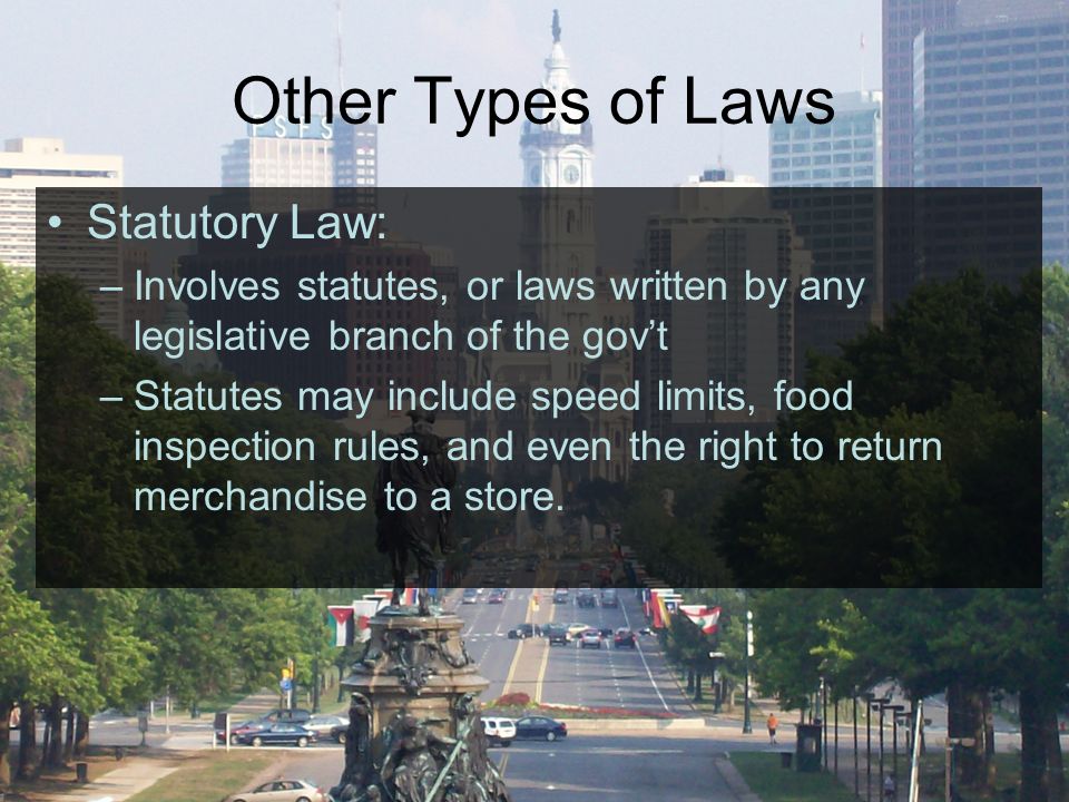 Other Types of Laws Statutory Law: –Involves statutes, or laws written by any legislative branch of the gov’t –Statutes may include speed limits, food inspection rules, and even the right to return merchandise to a store.