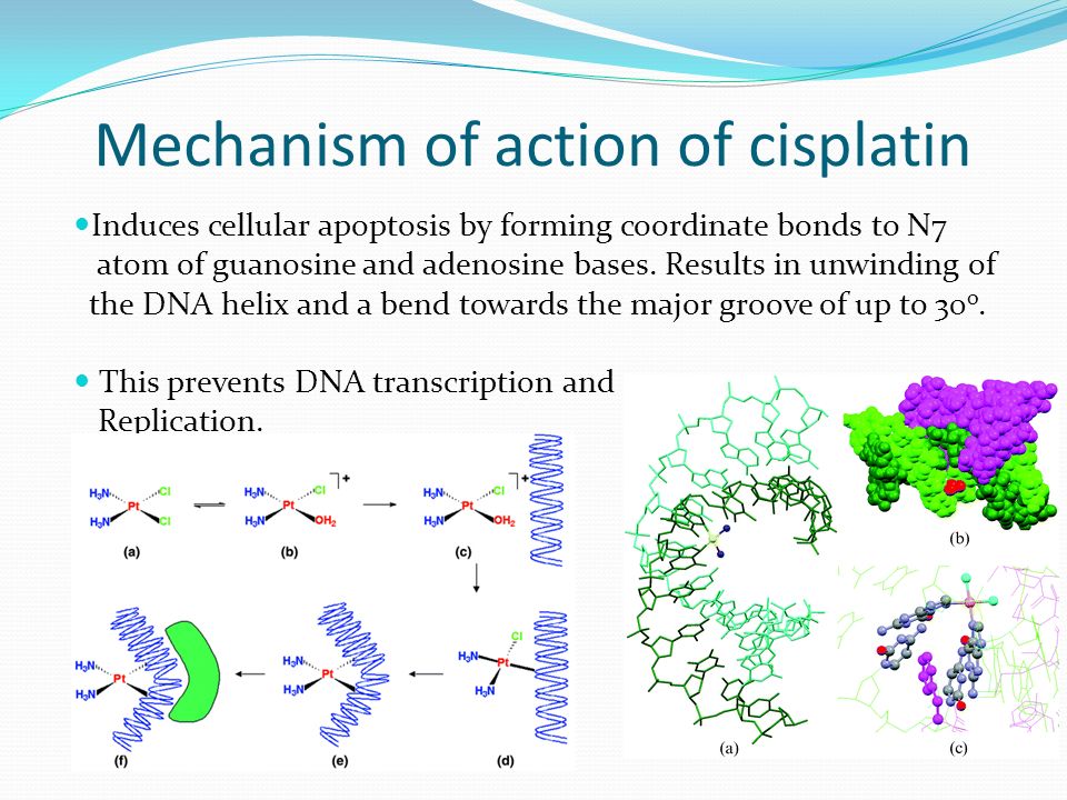 cancer cancer accounted for 7 1 million deaths world wide 12 5 cisplatin mechanism of action