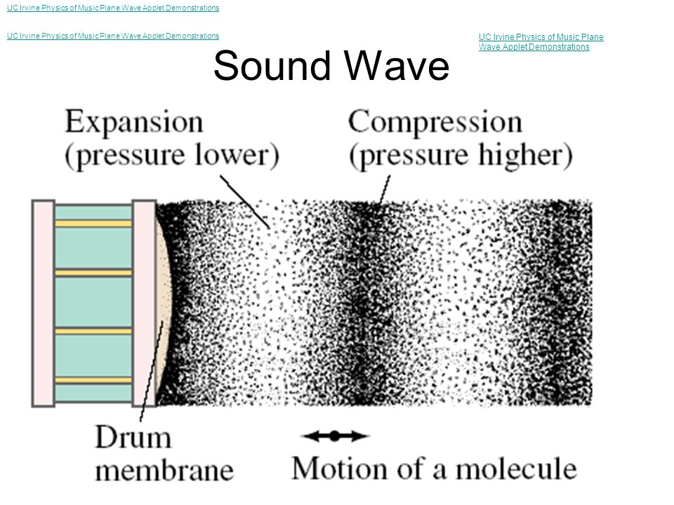 Types of Waves: Transverse and Longitudinal