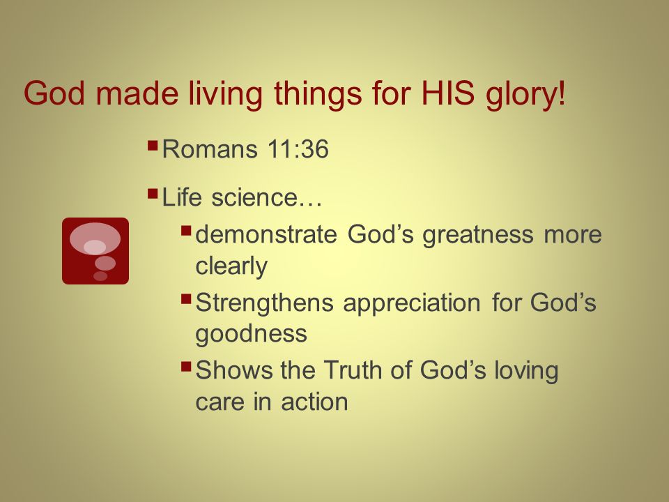 God made living things for HIS glory.