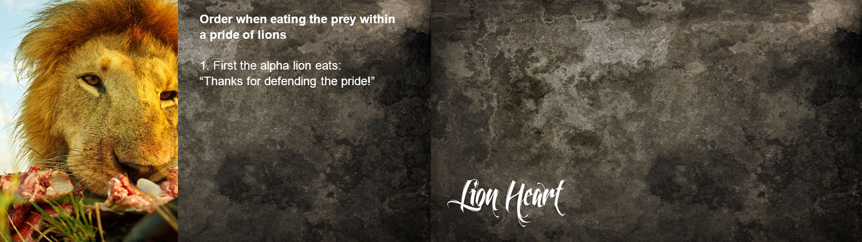 Order when eating the prey within a pride of lions 1.