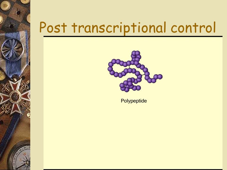 Post transcriptional control