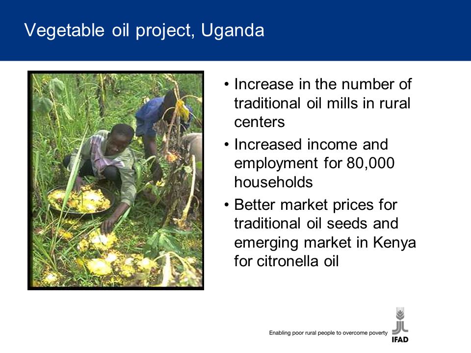 Vegetable oil project, Uganda Increase in the number of traditional oil mills in rural centers Increased income and employment for 80,000 households Better market prices for traditional oil seeds and emerging market in Kenya for citronella oil
