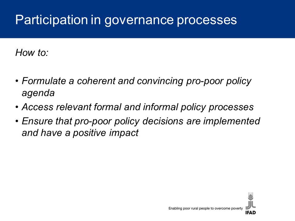 Participation in governance processes How to: Formulate a coherent and convincing pro-poor policy agenda Access relevant formal and informal policy processes Ensure that pro-poor policy decisions are implemented and have a positive impact
