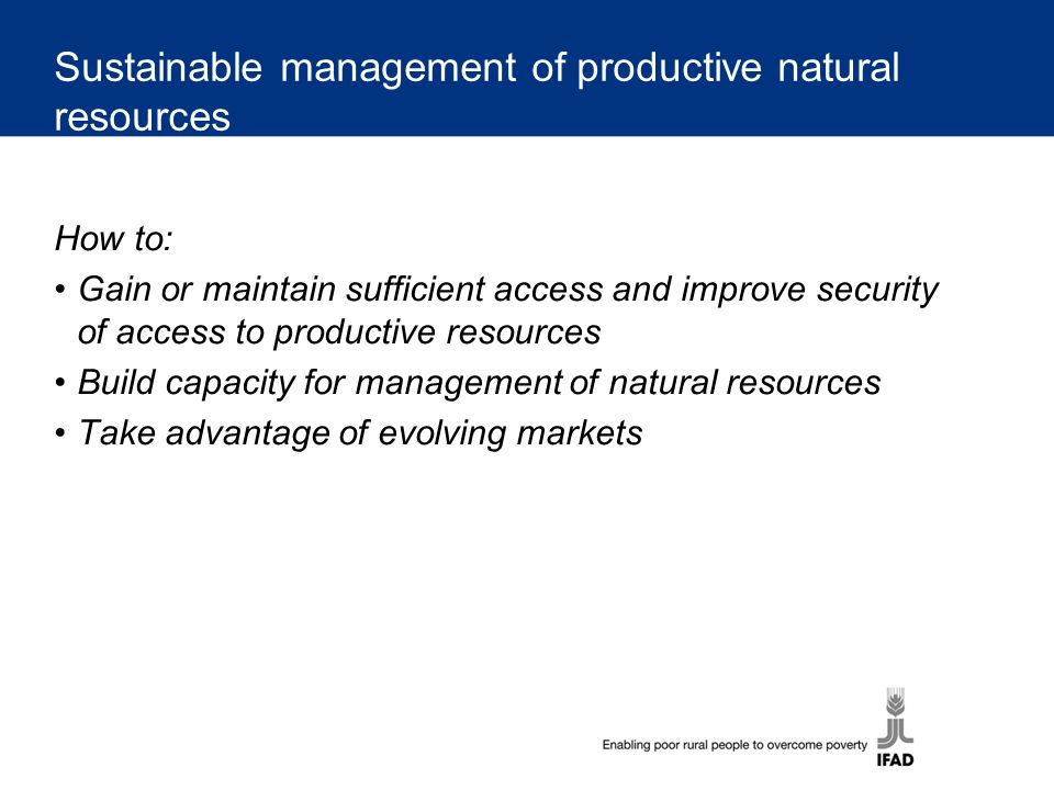 Sustainable management of productive natural resources How to: Gain or maintain sufficient access and improve security of access to productive resources Build capacity for management of natural resources Take advantage of evolving markets