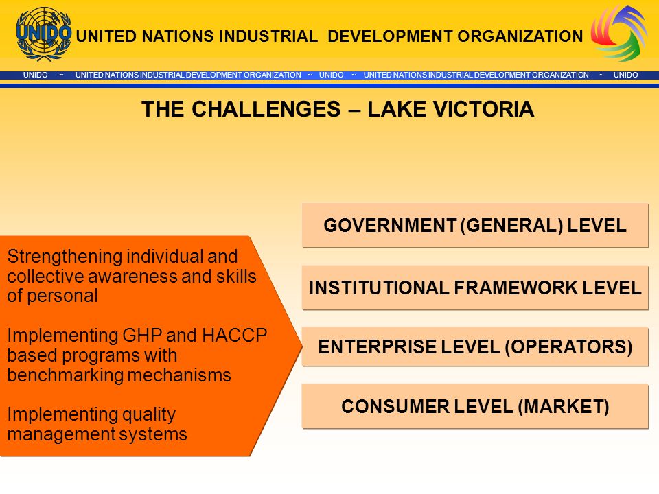 UNITED NATIONS INDUSTRIAL DEVELOPMENT ORGANIZATION UNIDO ~ UNITED NATIONS INDUSTRIAL DEVELOPMENT ORGANIZATION ~ UNIDO ~ UNITED NATIONS INDUSTRIAL DEVELOPMENT ORGANIZATION ~ UNIDO GOVERNMENT (GENERAL) LEVEL INSTITUTIONAL FRAMEWORK LEVEL ENTERPRISE LEVEL (OPERATORS) CONSUMER LEVEL (MARKET) THE CHALLENGES – LAKE VICTORIA Strengthening individual and collective awareness and skills of personal Implementing GHP and HACCP based programs with benchmarking mechanisms Implementing quality management systems