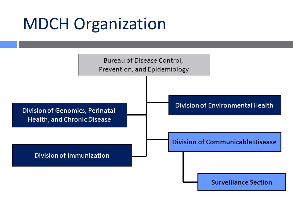 Mdch Organizational Chart