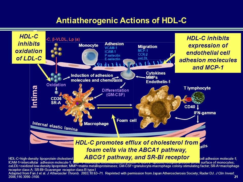 1 Comprehensive Lipid Management Beyond Ldl C Lowering Ppt Download