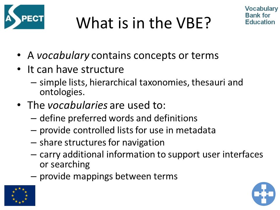 What is in the VBE.