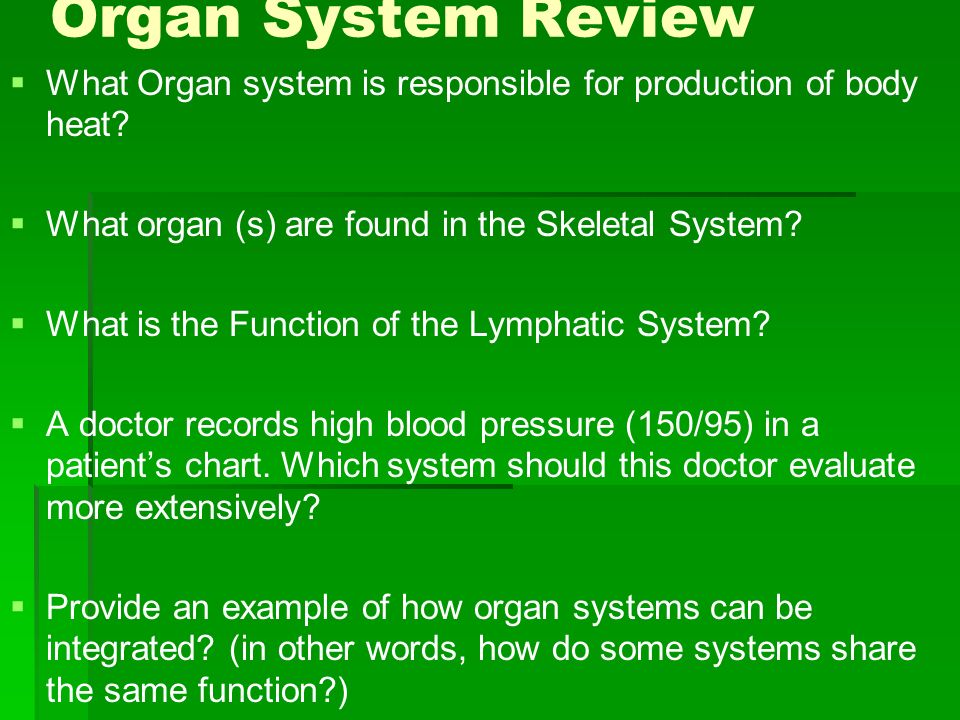 Organ System Review   What Organ system is responsible for production of body heat.