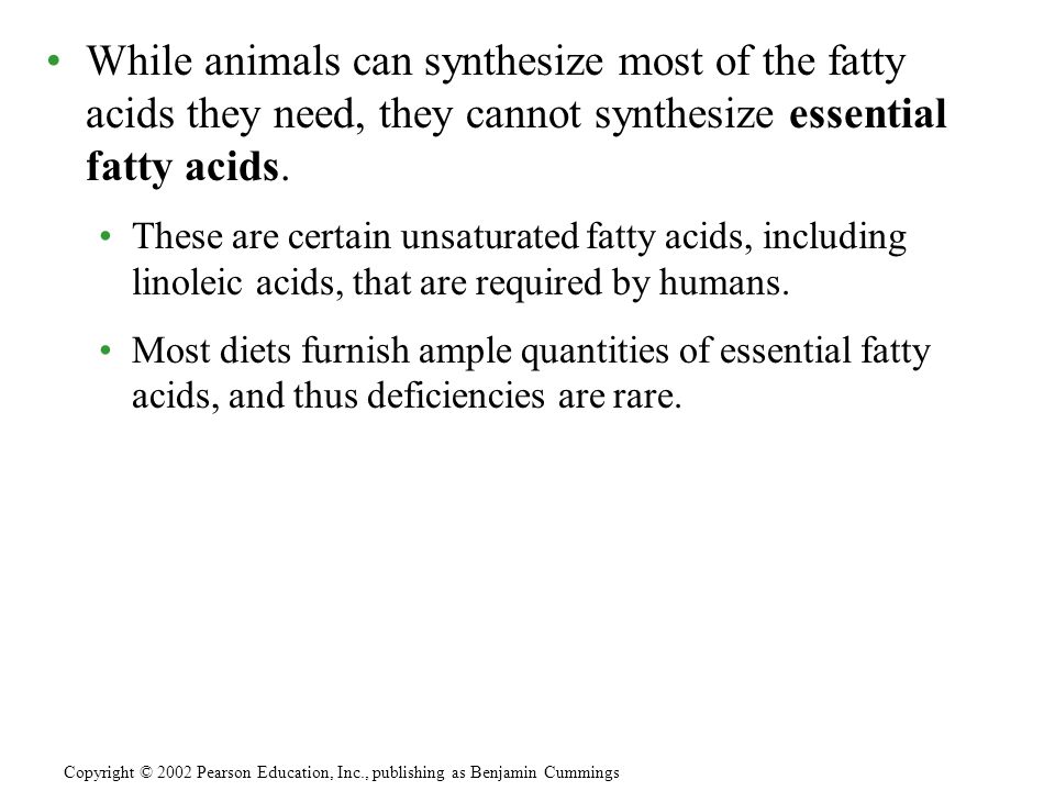 While animals can synthesize most of the fatty acids they need, they cannot synthesize essential fatty acids.