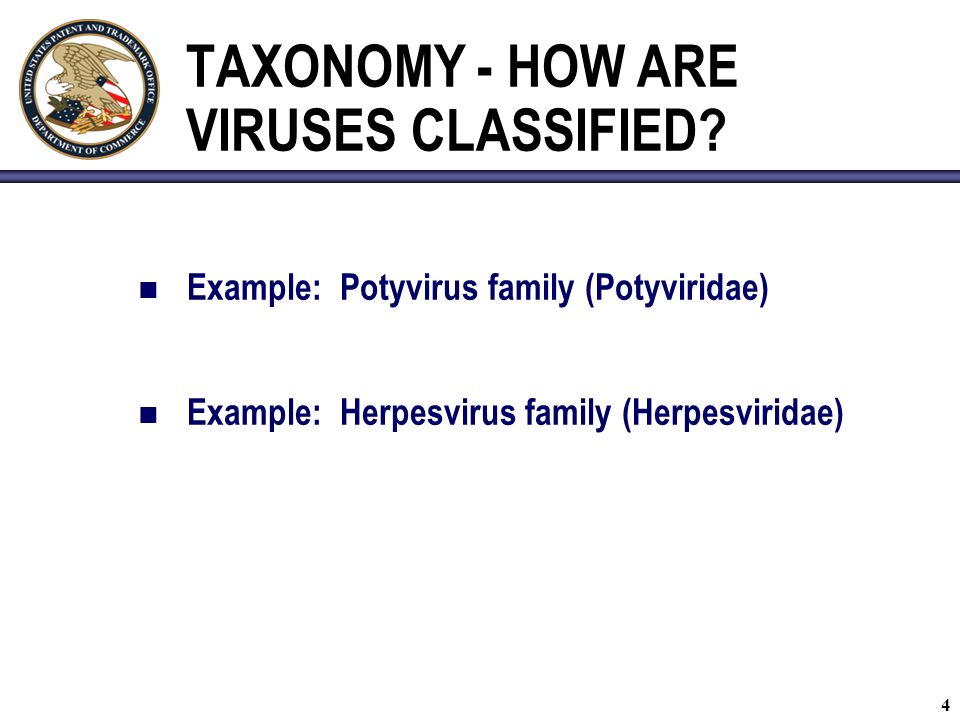 4 TAXONOMY - HOW ARE VIRUSES CLASSIFIED.