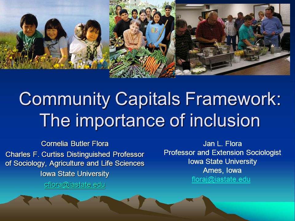 Community Capitals Framework: The importance of inclusion Cornelia Butler Flora Charles F.