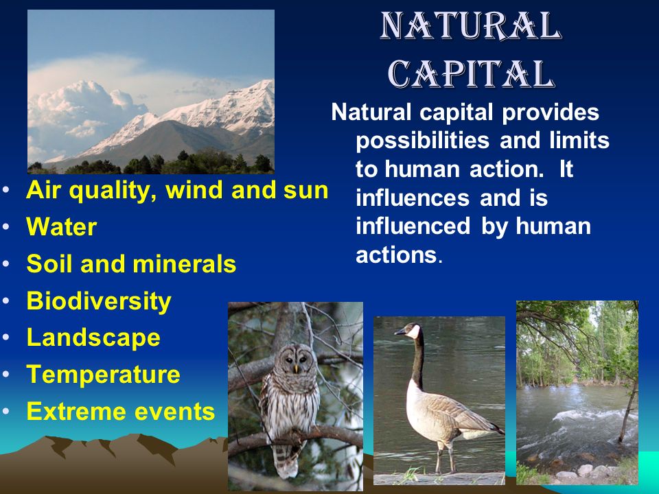 Natural Capital Air quality, wind and sun Water Soil and minerals Biodiversity Landscape Temperature Extreme events Natural capital provides possibilities and limits to human action.