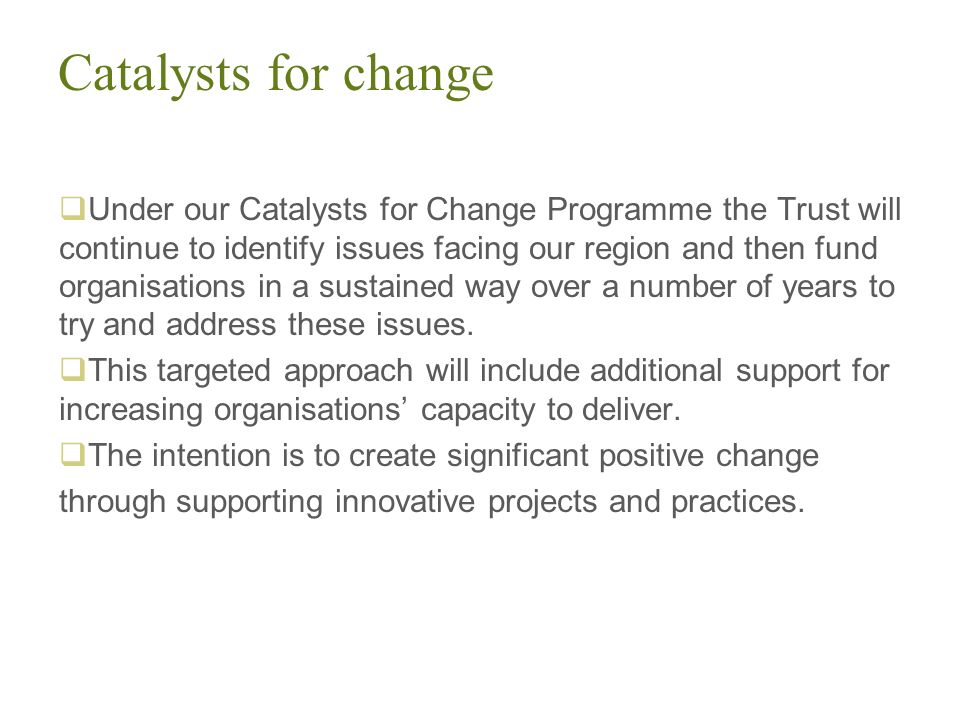 Catalysts for change  Under our Catalysts for Change Programme the Trust will continue to identify issues facing our region and then fund organisations in a sustained way over a number of years to try and address these issues.