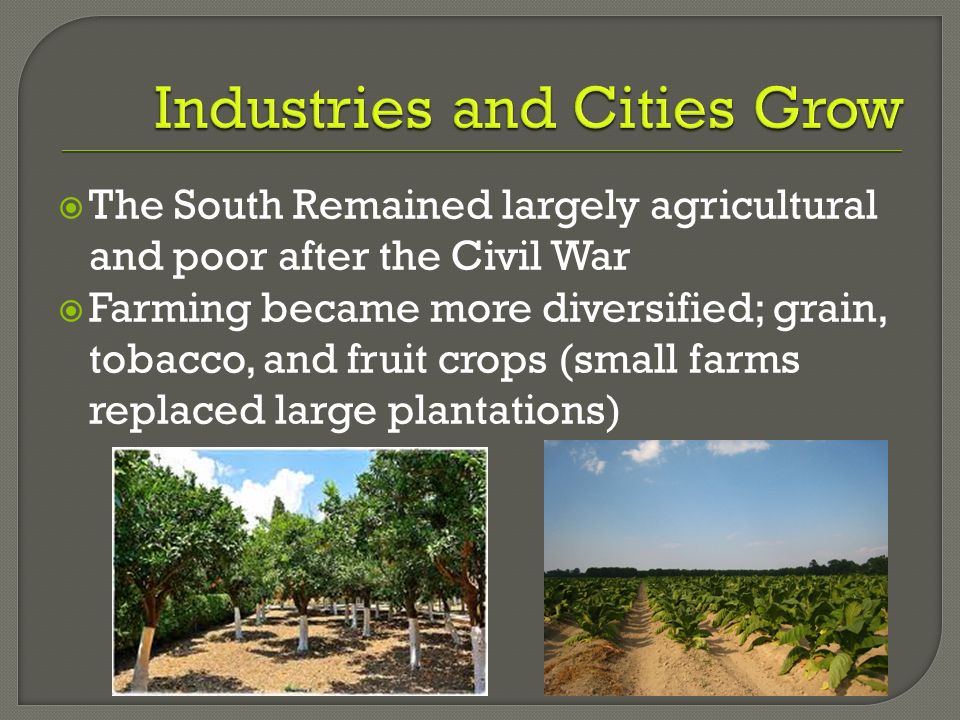  The South Remained largely agricultural and poor after the Civil War  Farming became more diversified; grain, tobacco, and fruit crops (small farms replaced large plantations)