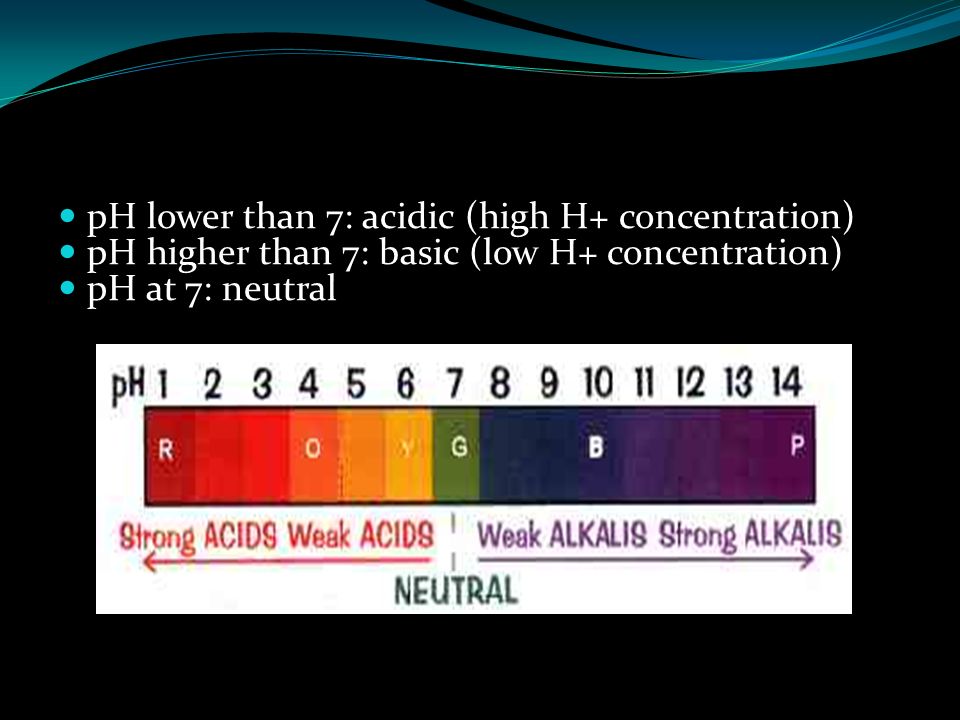 pH lower than 7: acidic (high H+ concentration) pH higher than 7: basic (low H+ concentration) pH at 7: neutral
