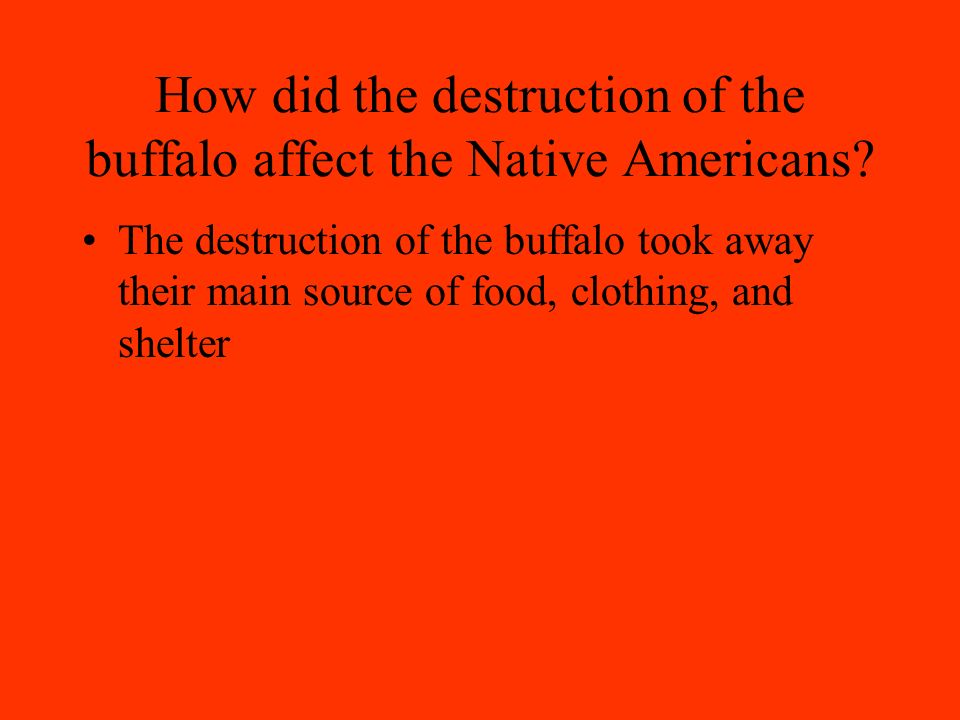 How did the destruction of the buffalo affect the Native Americans.