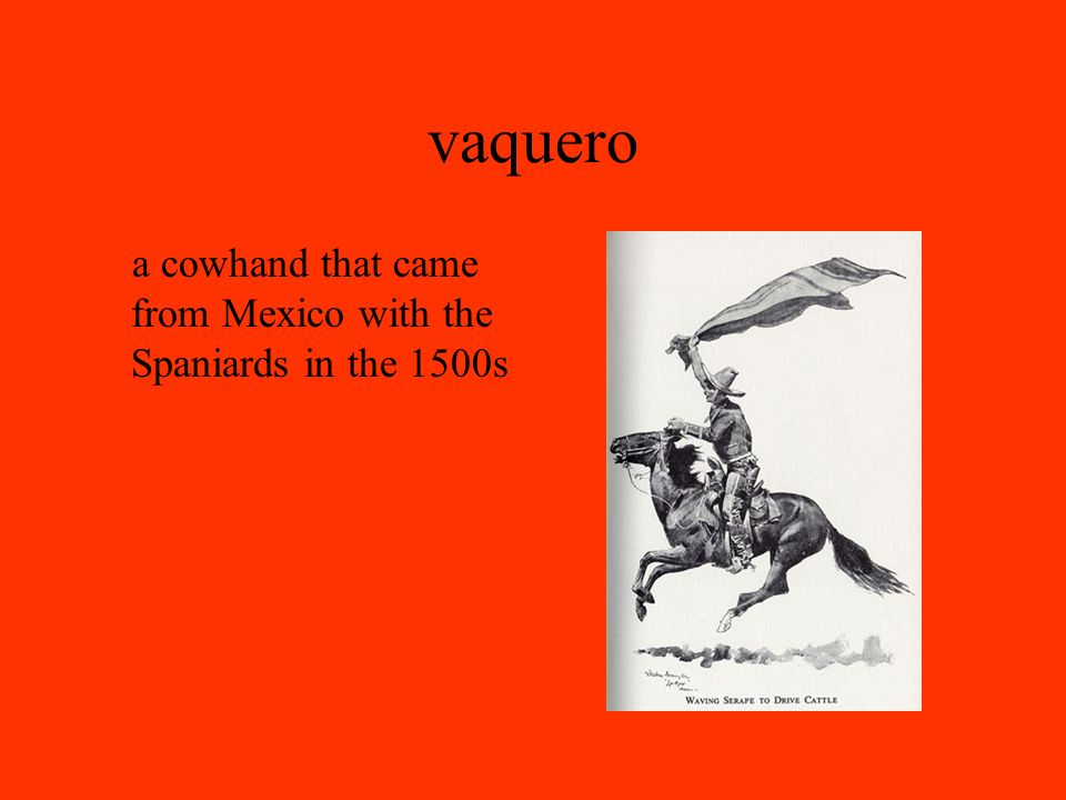 vaquero a cowhand that came from Mexico with the Spaniards in the 1500s