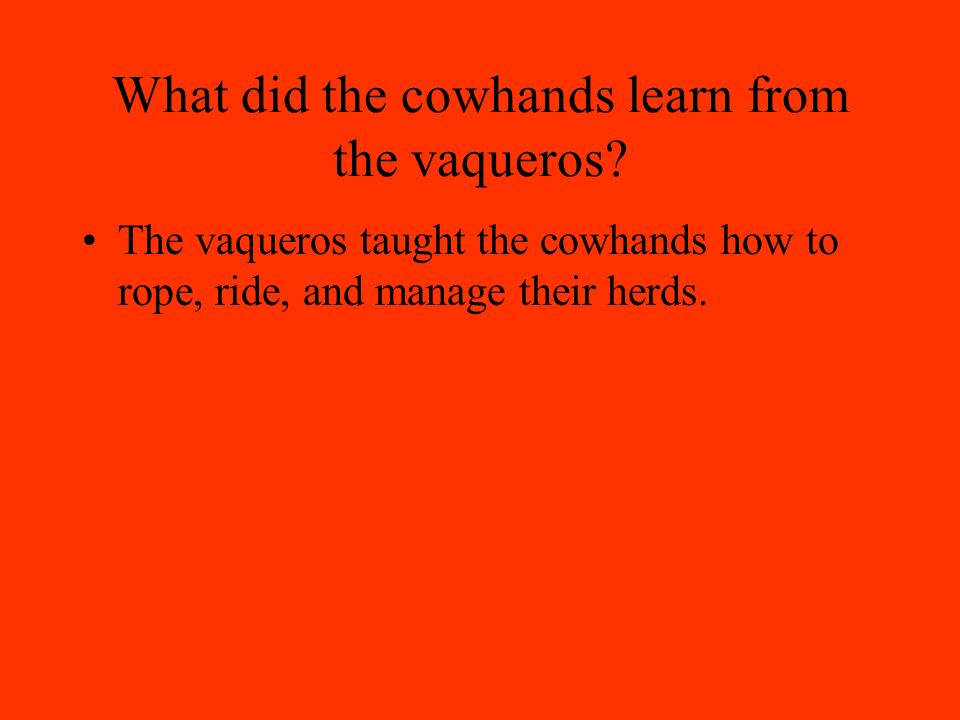 What did the cowhands learn from the vaqueros.