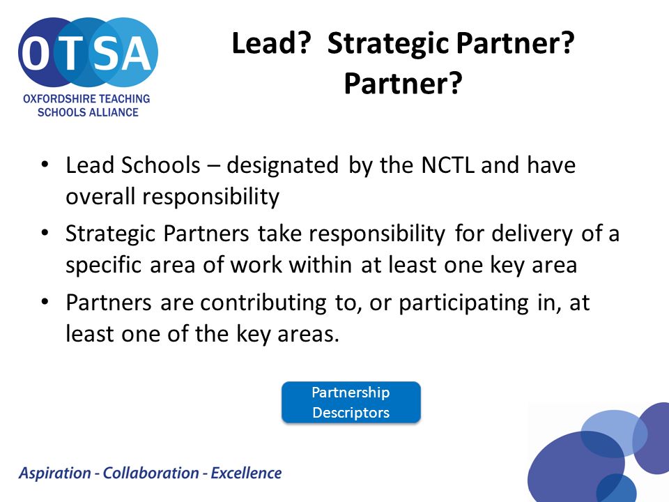 Lead. Strategic Partner. Partner.