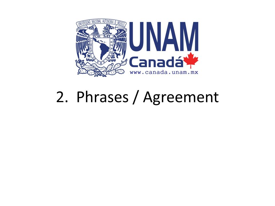 2. Phrases / Agreement