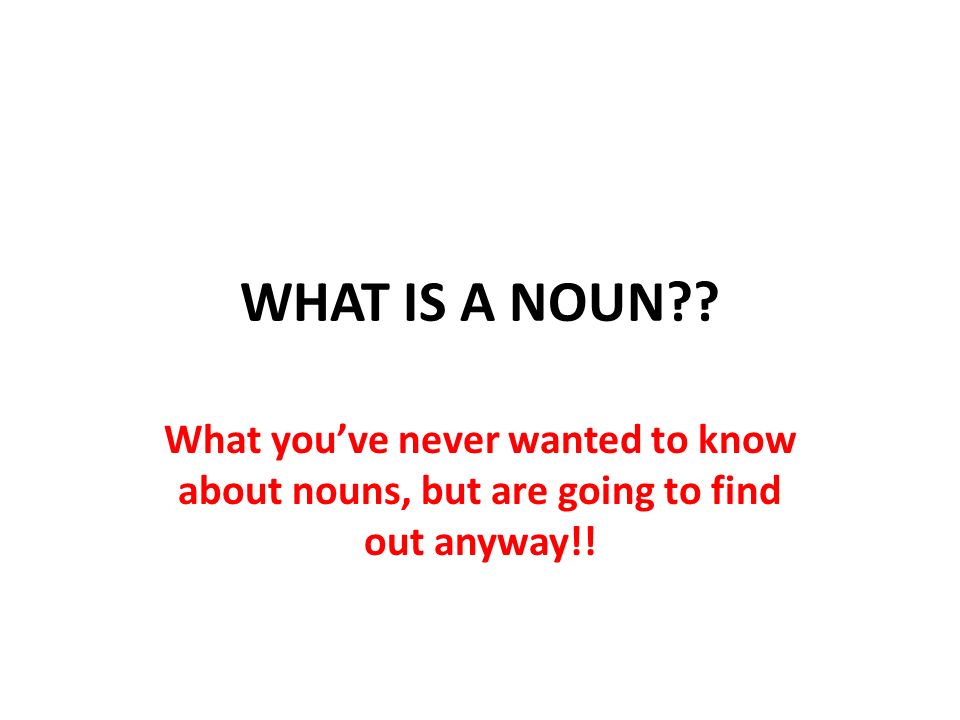 WHAT IS A NOUN What you’ve never wanted to know about nouns, but are going to find out anyway!!