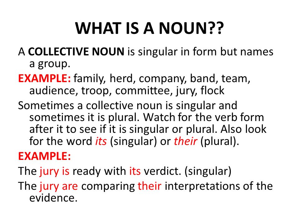 WHAT IS A NOUN . A COLLECTIVE NOUN is singular in form but names a group.