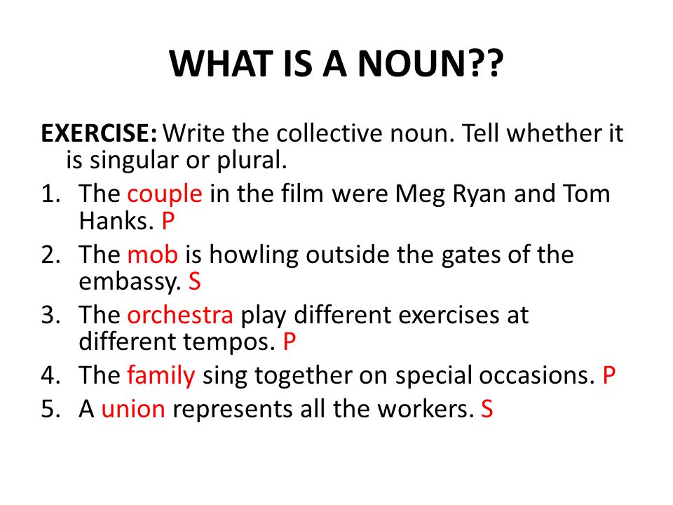 WHAT IS A NOUN . EXERCISE: Write the collective noun.