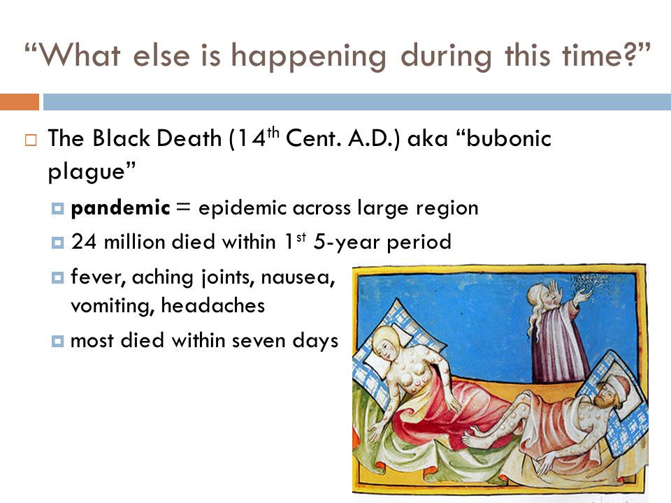 What else is happening during this time  The Black Death (14 th Cent.